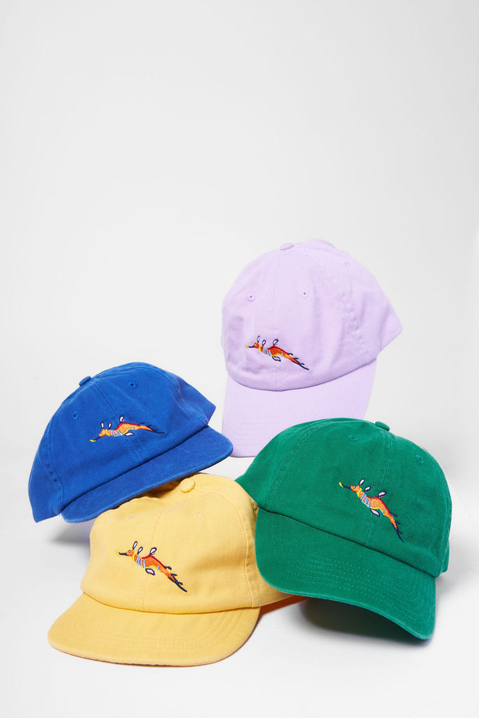 Weedy Seadragon Curved Peak Cap
