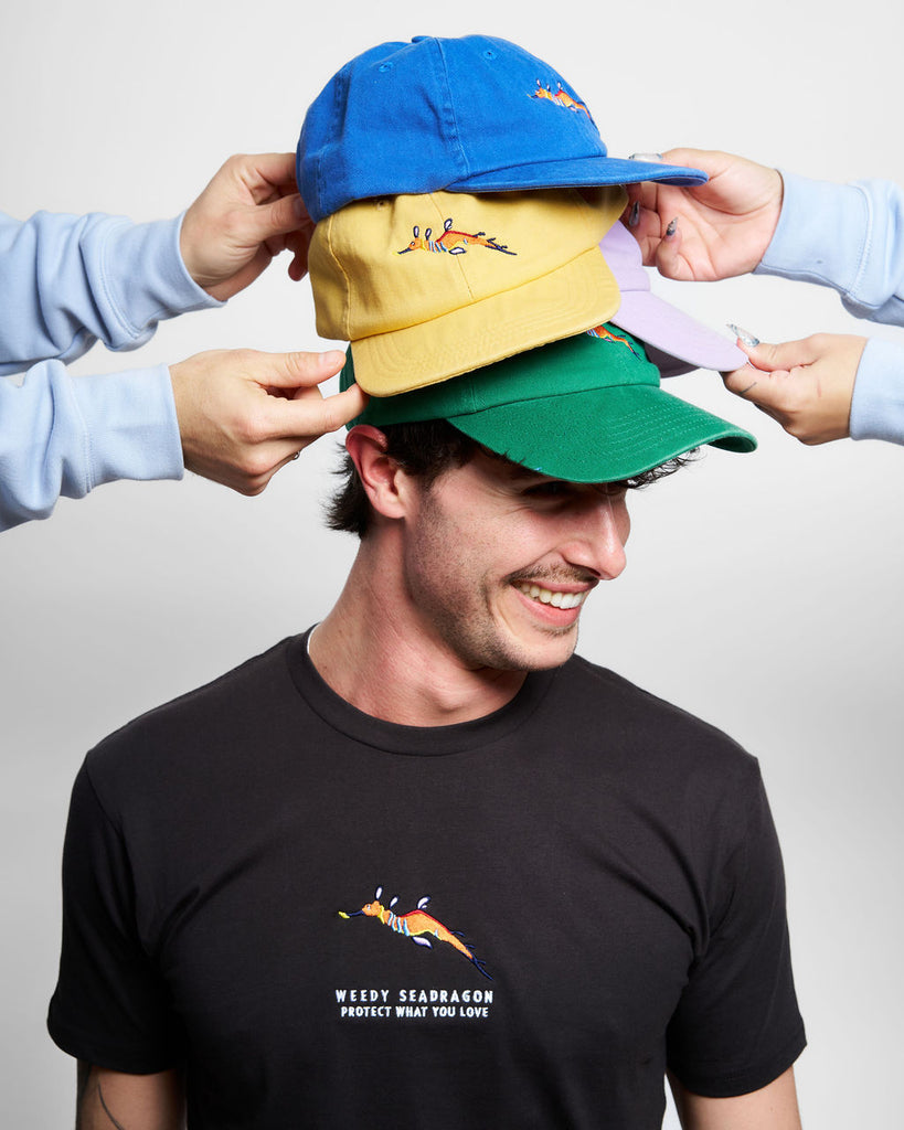 Weedy Seadragon Curved Peak Cap
