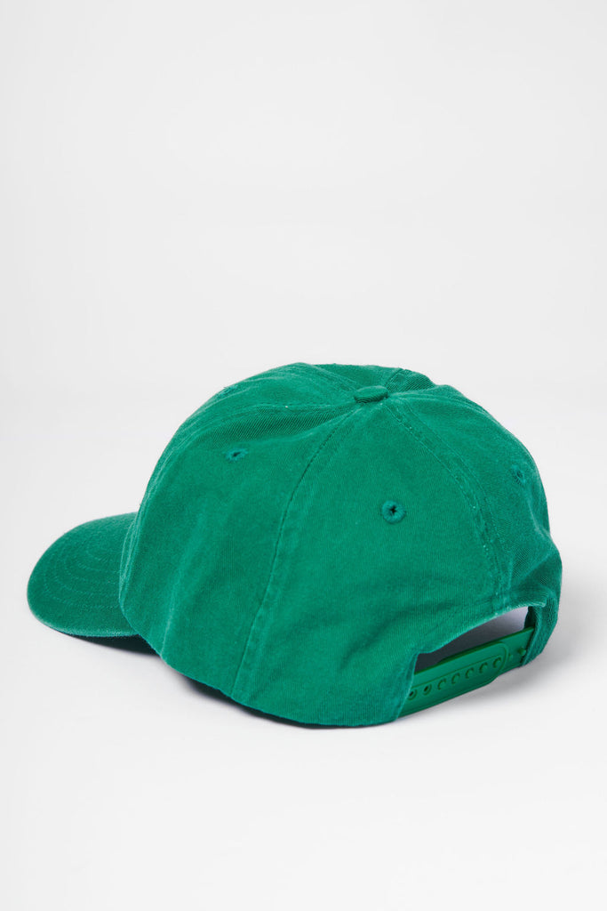Weedy Seadragon Curved Peak Cap