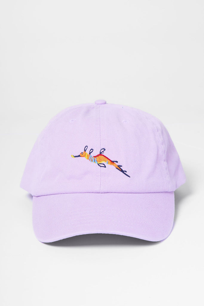 Weedy Seadragon Curved Peak Cap