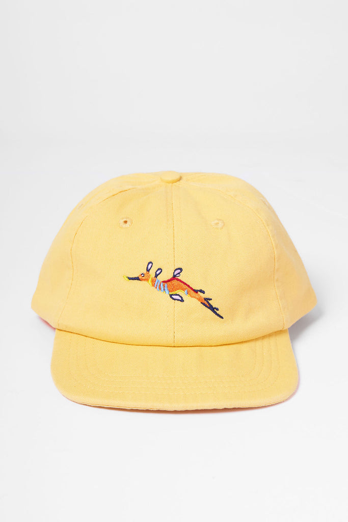 Weedy Seadragon Flat Peak Cap