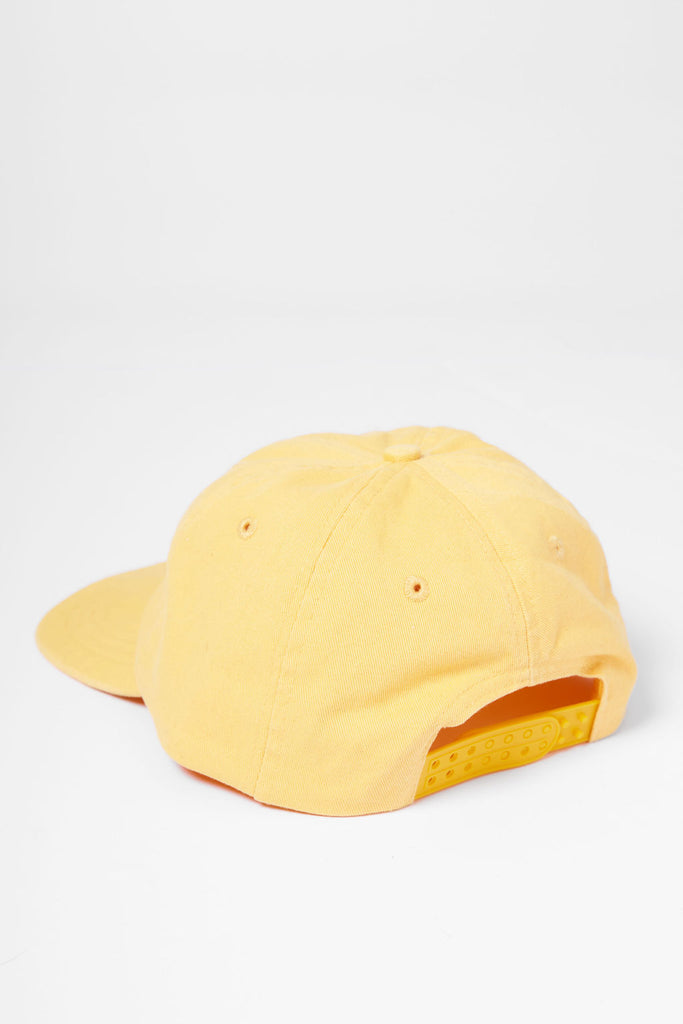 Weedy Seadragon Flat Peak Cap