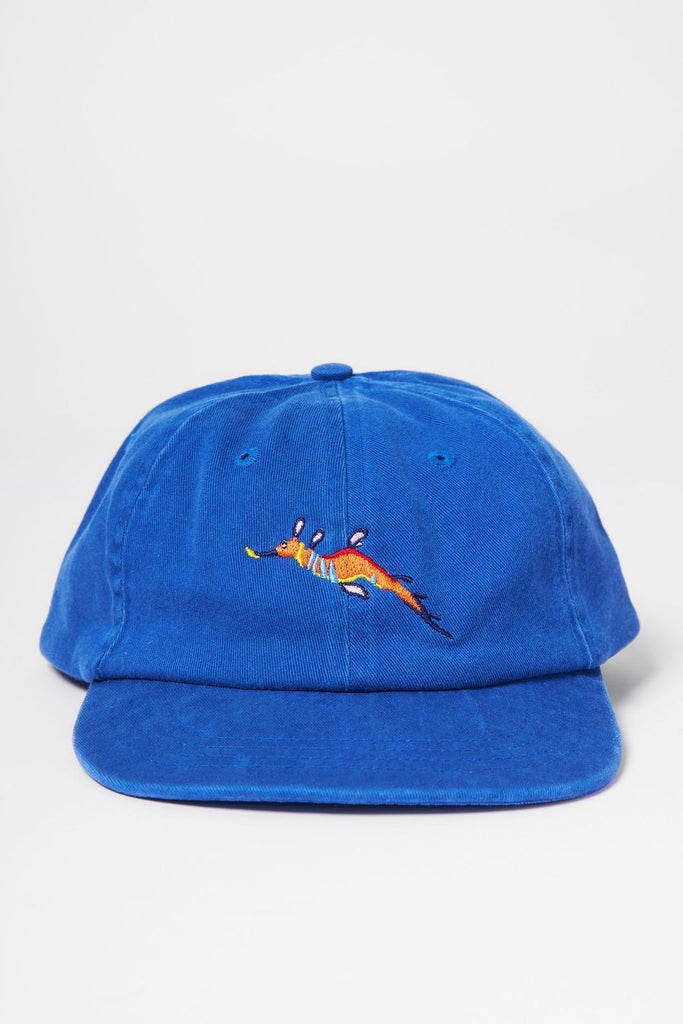 Weedy Seadragon Flat Peak Cap