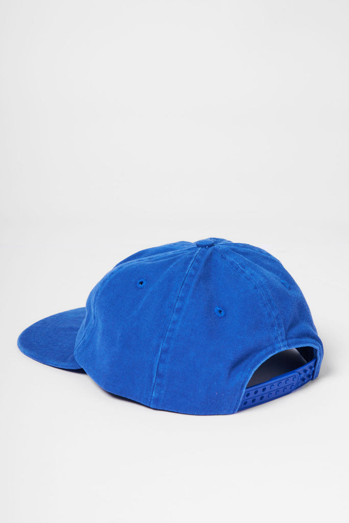Weedy Seadragon Flat Peak Cap